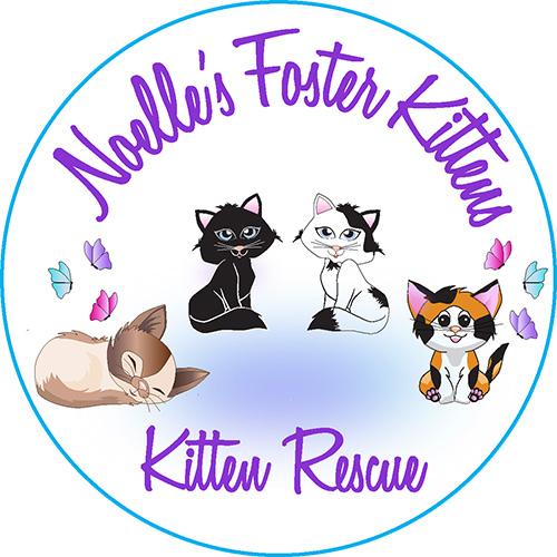 Noelles Foster Kittens